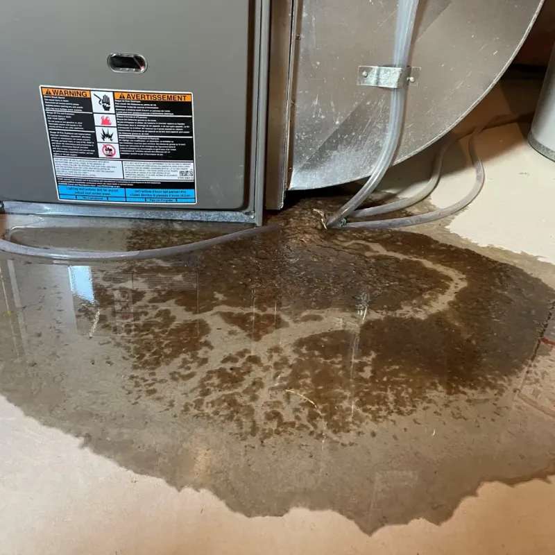 Appliance Leak Cleanup in Wood County, WI